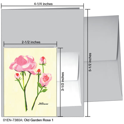 Old Garden Rose 1, Greeting Card (7380A)