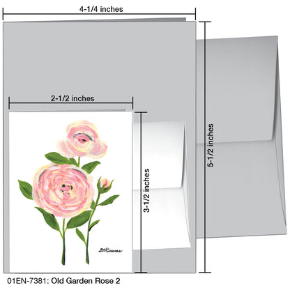 Old Garden Rose 2, Greeting Card (7381A), Enclosure Card, printedcanvas.com