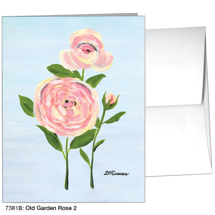 Old Garden Rose 2, Greeting Card (7381B), A2 Card Front, www.printedcanvas.com