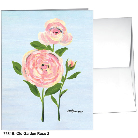 Old Garden Rose 2, Greeting Card (7381B), A2 Card Front, www.printedcanvas.com