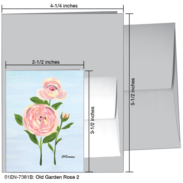 Old Garden Rose 2, Greeting Card (7381B), Enclosure Card, www.printedcanvas.com