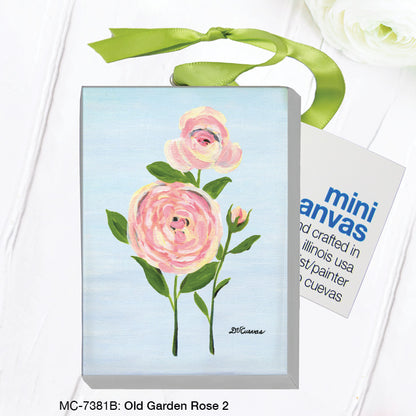 Old Garden Rose 2, Mini Canvas (MC-7381B)