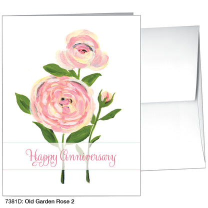 Old Garden Rose 2, Greeting Card (7381D)