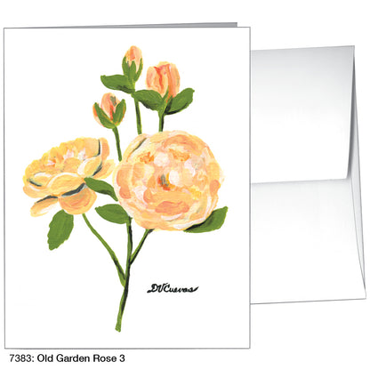 Old Garden Rose 3, Greeting Card (7383)