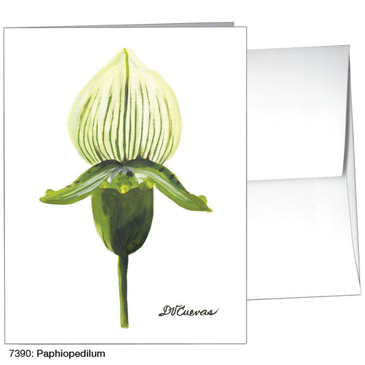 Paphiopedilum, Greeting Card (7390), A2, printedcanvas.com