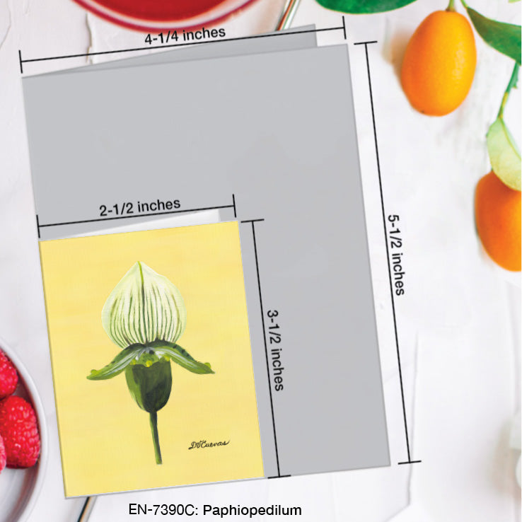 Paphiopedilum, Greeting Card (7390C), Enclosure Card, www.printedcanvas.com