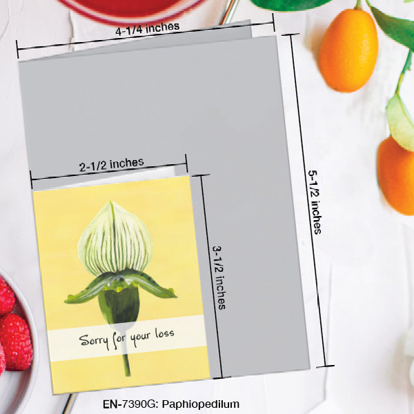 Paphiopedilum, Greeting Card (7390G), Enclosure, www.printedcanvas.com