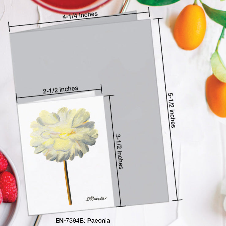 Paeonia, Greeting Card (7394B), Enclosure Card, www.printedcanvas.com