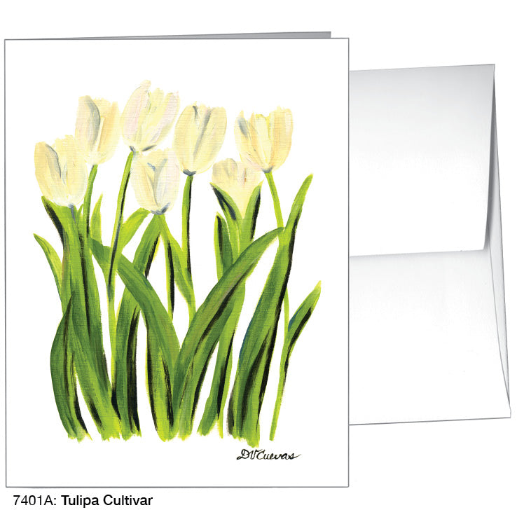 Tulipa Cultivar, Greeting Card (7401A), A2, printedcanvas.com