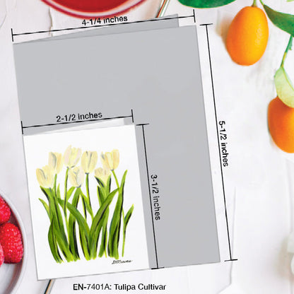 Tulipa Cultivar, Greeting Card (7401A), Enclosure Card, www.printedcanvas.com