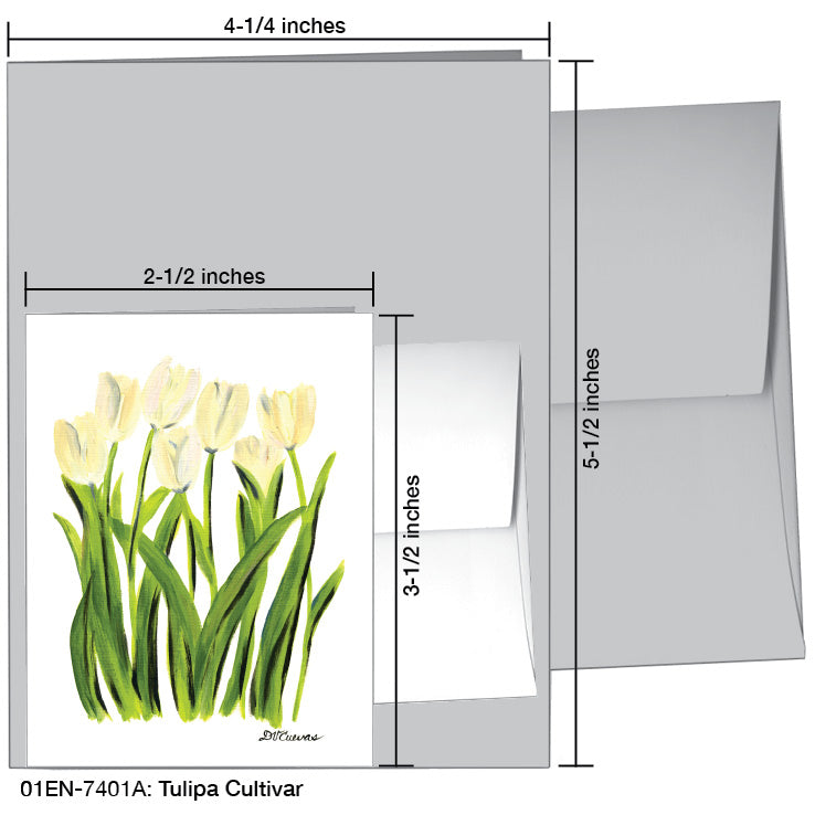 Tulipa Cultivar, Greeting Card (7401A), Enclosure, printedcanvas.com