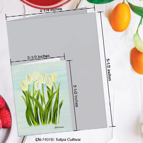 Tulipa Cultivar, Greeting Card (7401B), Enclosure Card, www.printedcanvas.com