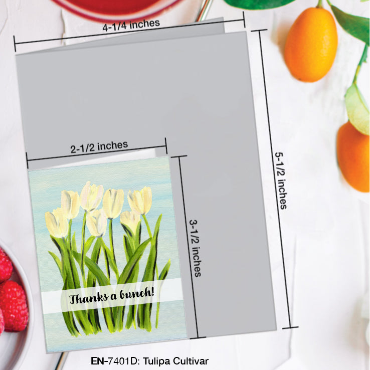Tulipa Cultivar, Greeting Card (#7401D)