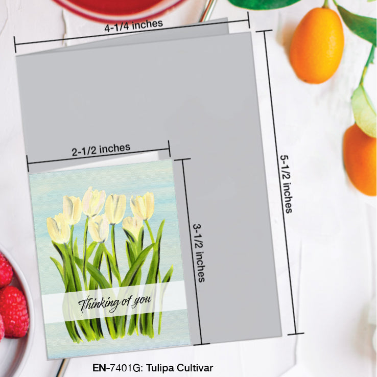 Tulipa Cultivar, Greeting Card (#7401G)