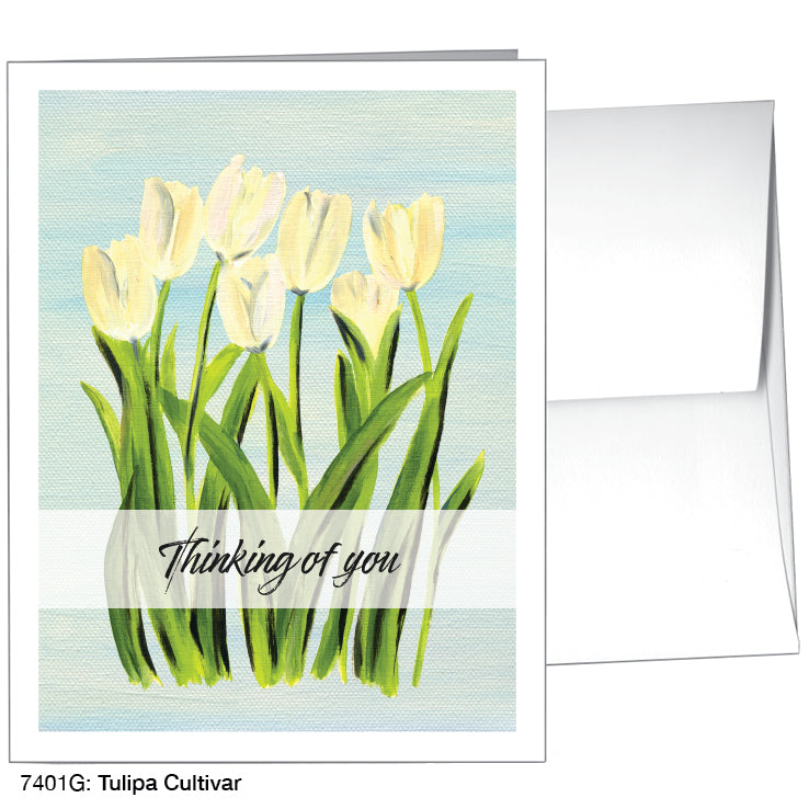 Tulipa Cultivar, Greeting Card (#7401G), A2 Card Front, www.printedcanvas.com