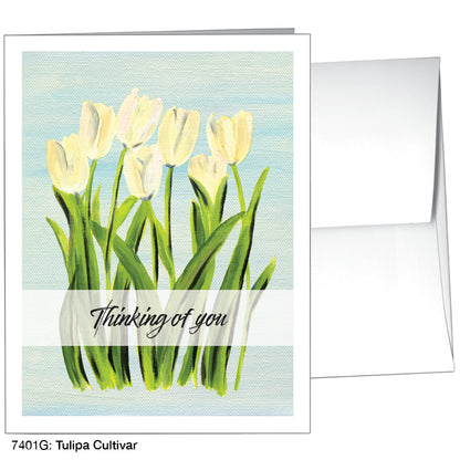 Tulipa Cultivar, Greeting Card (#7401G), A2 Card Front, www.printedcanvas.com