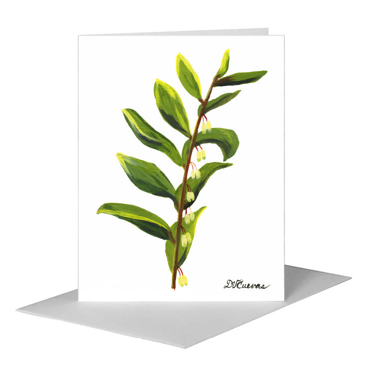 Solomon's Seal, Greeting Card (#7404A) A2 Card Front, www.printedcanvas.com
