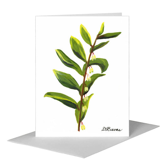 Solomon's Seal, Greeting Card (#7404A) A2 Card Front, www.printedcanvas.com
