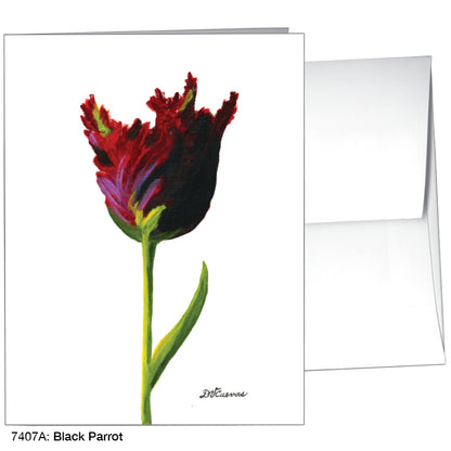Black Parrot, Greeting Card (#7407A), A2 Card Front, www.printedcanvas.com