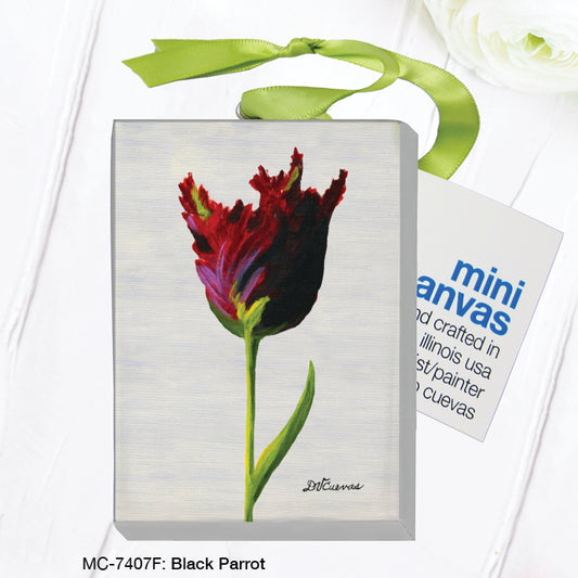 Black Parrot, Mini Canvas (MC-7407F)