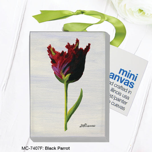 Black Parrot, Mini Canvas (MC-7407F)