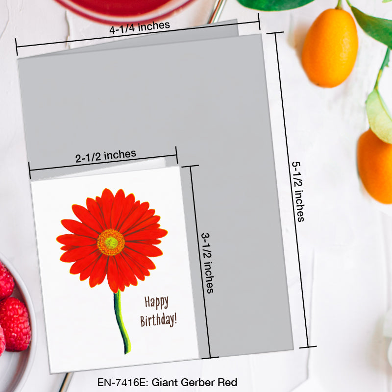 Giant Gerber Red, Greeting Card (7416E), Enclosure, www.printedcanvas.com