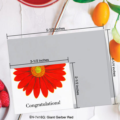 Giant Gerber Red, Greeting Card (7416G), Enclosure, www.printedcanvas.com