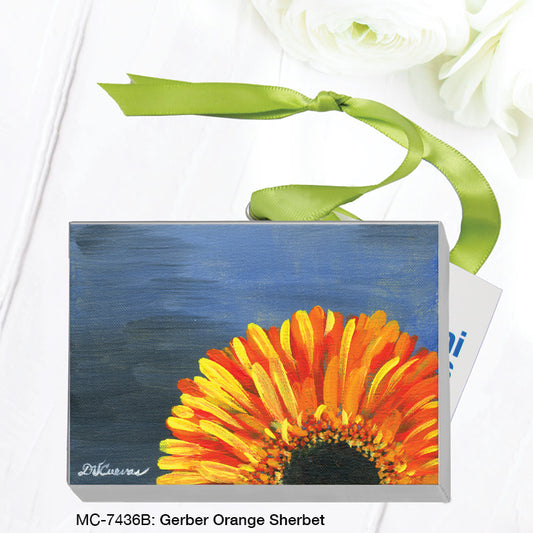 Gerber Orange Sherbet, Mini Canvas (MC-7436C), Front, printedcanvas.com