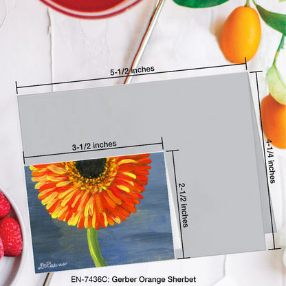 Gerber Orange Sherbet, Greeting Card (7436C), Enclosure Card, www.printedcanvas.com