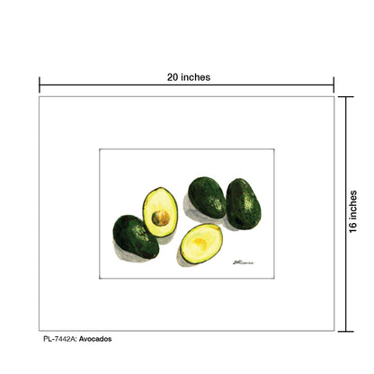 Avocados, Print (#7442A)
