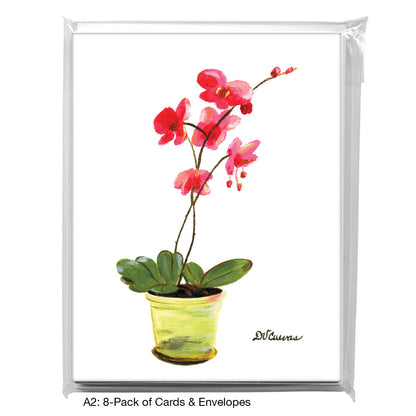 Moth Orchids, Greeting Card (7448), A2 8-Pack, printedcanvas.com