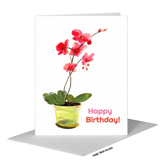 Moth Orchids, Greeting Card (#7448C)