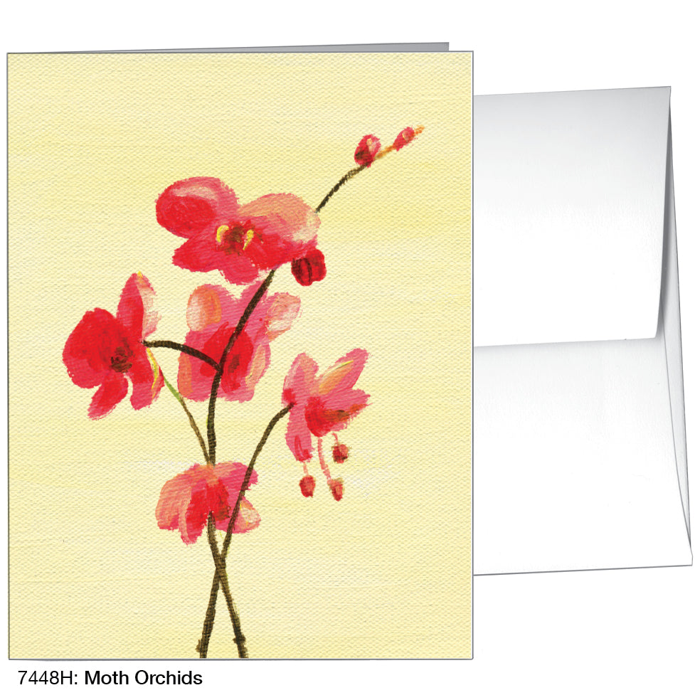 Moth Orchids, Greeting Card (7448H)