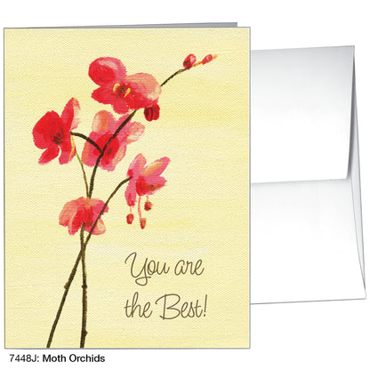 Moth Orchids, Greeting Card (7448J)