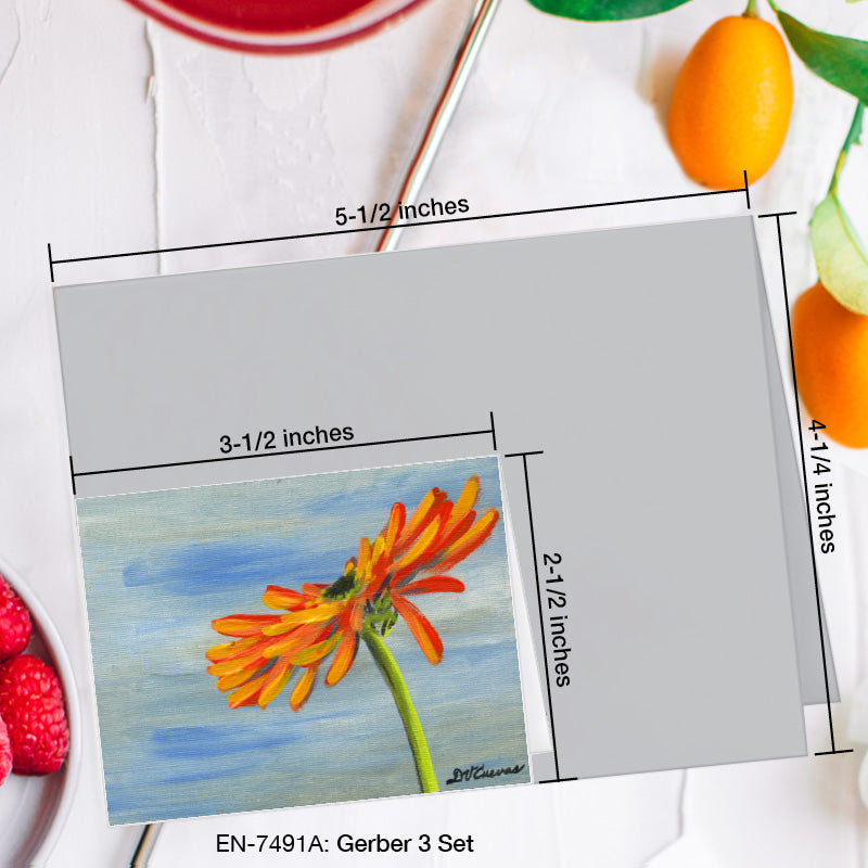 Gerber 3 Set, Greeting Card (7491A), Enclosure Card, www.printedcanvas.com