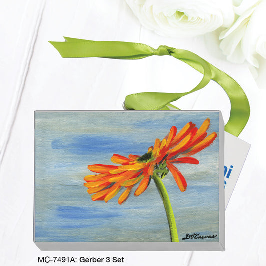Gerber 3 Set, Mini Canvas (MC-7491A), Front, printedcanvas.com
