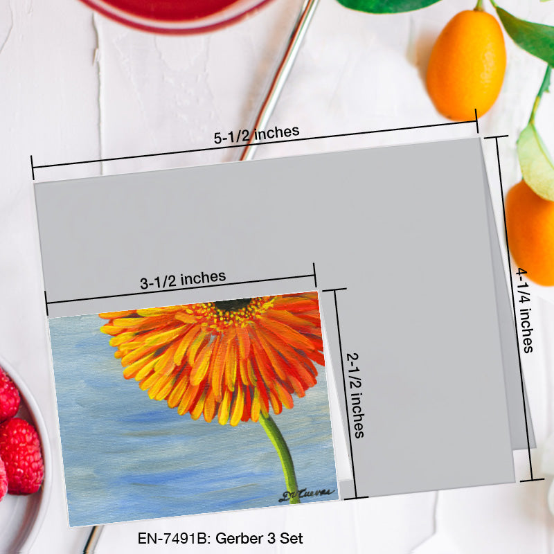 Gerber 3 Set, Greeting Card (7491B), Enclosure Card, www.printedcanvas.com