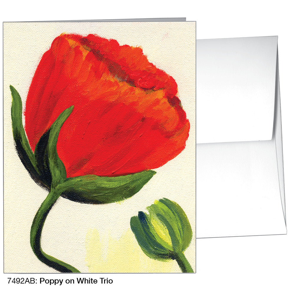Poppy On White Trio, Greeting Card (7492AB), A2, printedcanvas.com
