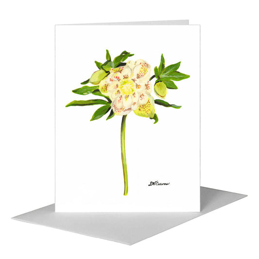 Hellebore Bloom, Greeting Card (#7514A) A2 Card Front, www.printedcanvas.com