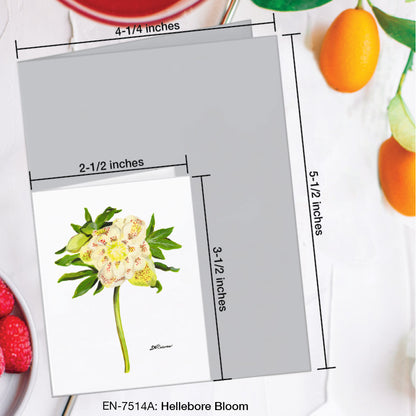 Hellebore Bloom, Greeting Card (#7514A)