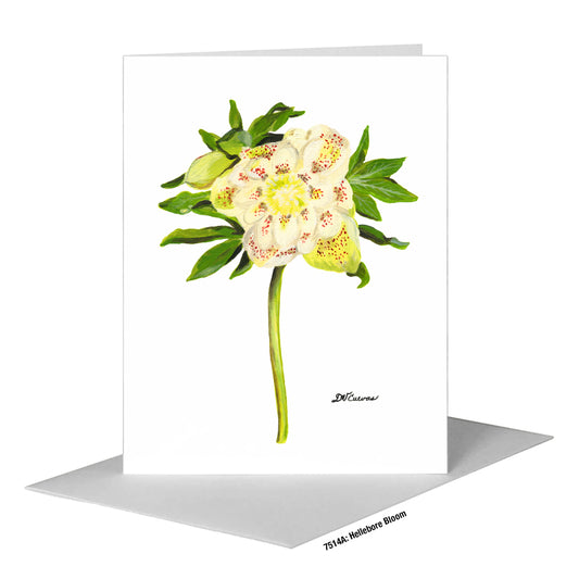 Hellebore Bloom, Greeting Card (#7514A)