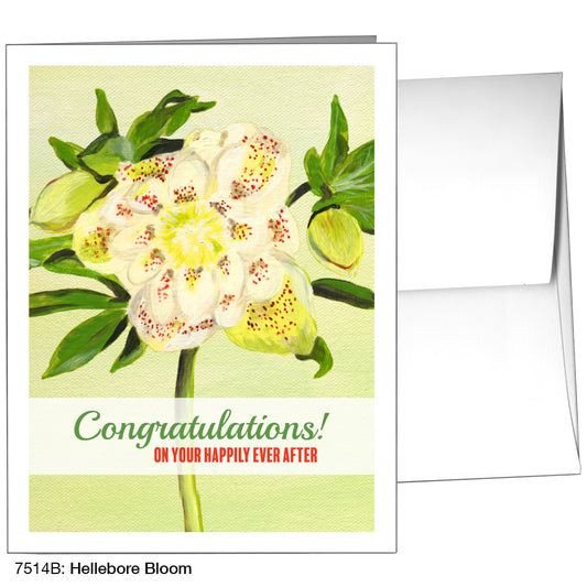 Hellebore Bloom, Greeting Card (7514B)