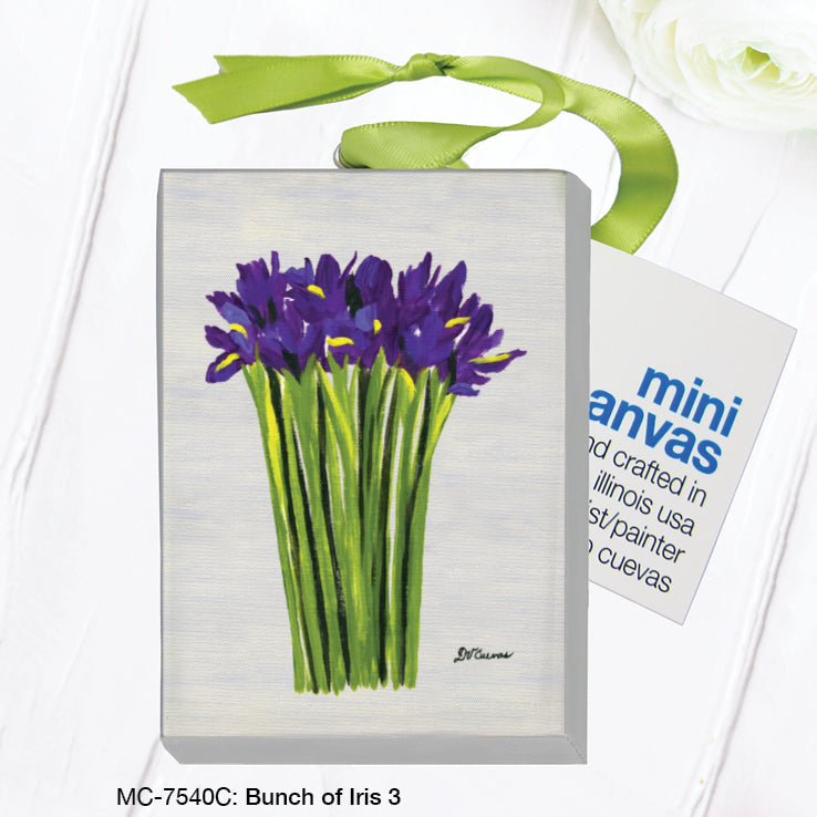 Bunch of Iris 3, Mini Canvas (MC-7540C)