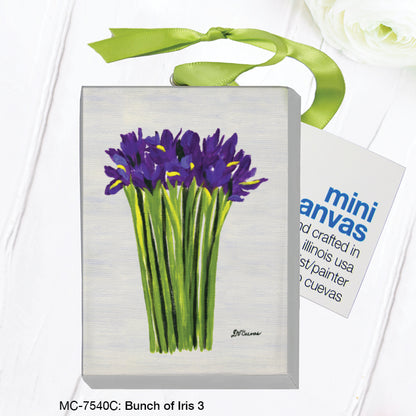 Bunch of Iris 3, Mini Canvas (MC-7540C)