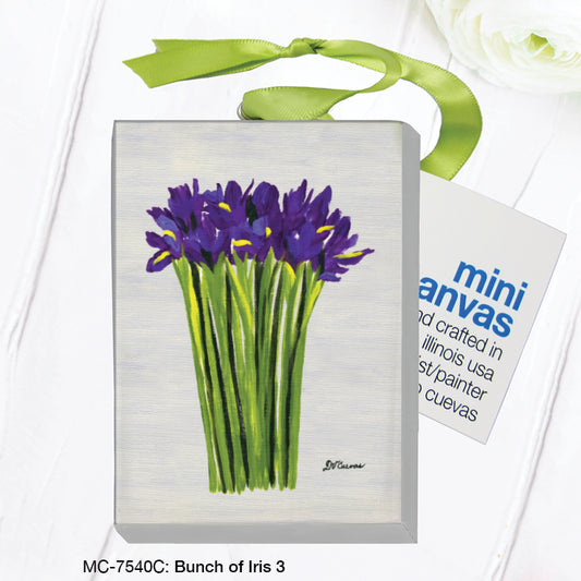 Bunch of Iris 3, Mini Canvas (MC-7540C)
