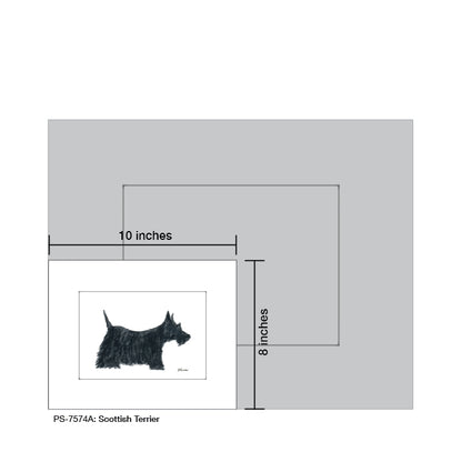 Scottish Terrier, Print (#7574A)