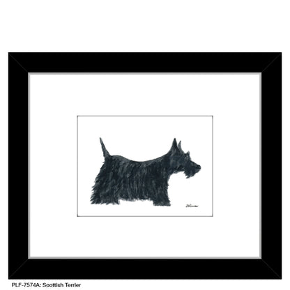 Scottish Terrier, Print (#7574A)