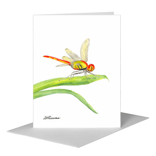 Dragonfly, Greeting Card (#7616A) A2 Card Front, www.printedcanvas.com