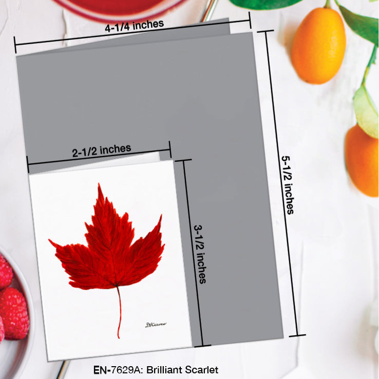 Brilliant Scarlet Leaf, Greeting Card (7629A), Enclosure Card, www.printedcanvas.com