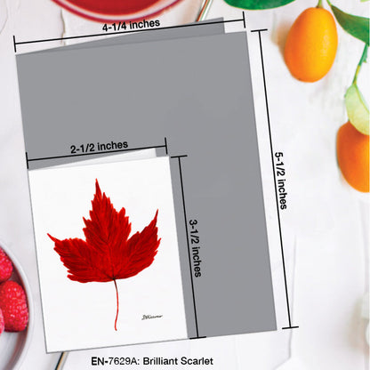 Brilliant Scarlet Leaf, Greeting Card (7629A), Enclosure Card, www.printedcanvas.com